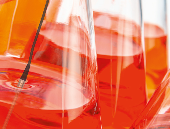 PT 100 Referenzfühler im Erlenmeyerkolben - Sterilisation