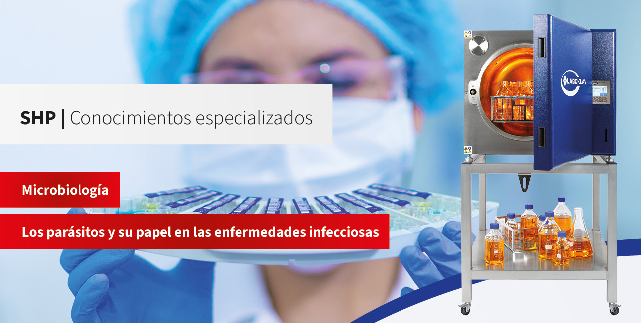 Los parásitos y su papel en las enfermedades infecciosas