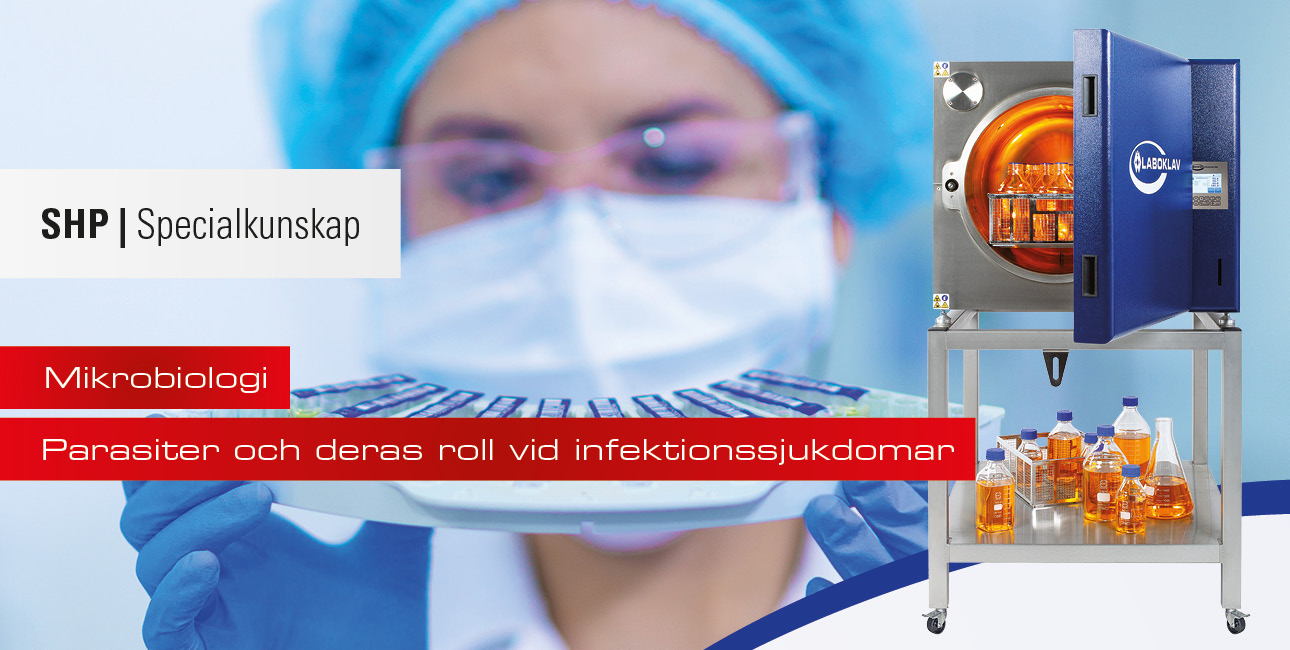Parasiter och deras roll vid infektionssjukdomar